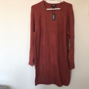 Express Long sleeve, long sweater